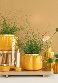 38145-yellow-4
