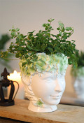 33494-green-4