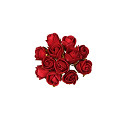 31109-red-0