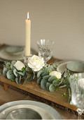31272-cream-3