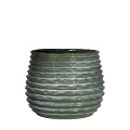 33955-green-0