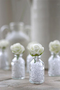 31101-white-1