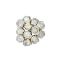 31101-white-0