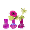 35243-Fuchsia-1