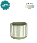 38281-green-0