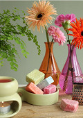 35253-Fuchsia-2
