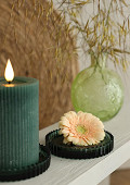34108-green-1
